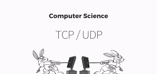TCP / UDP